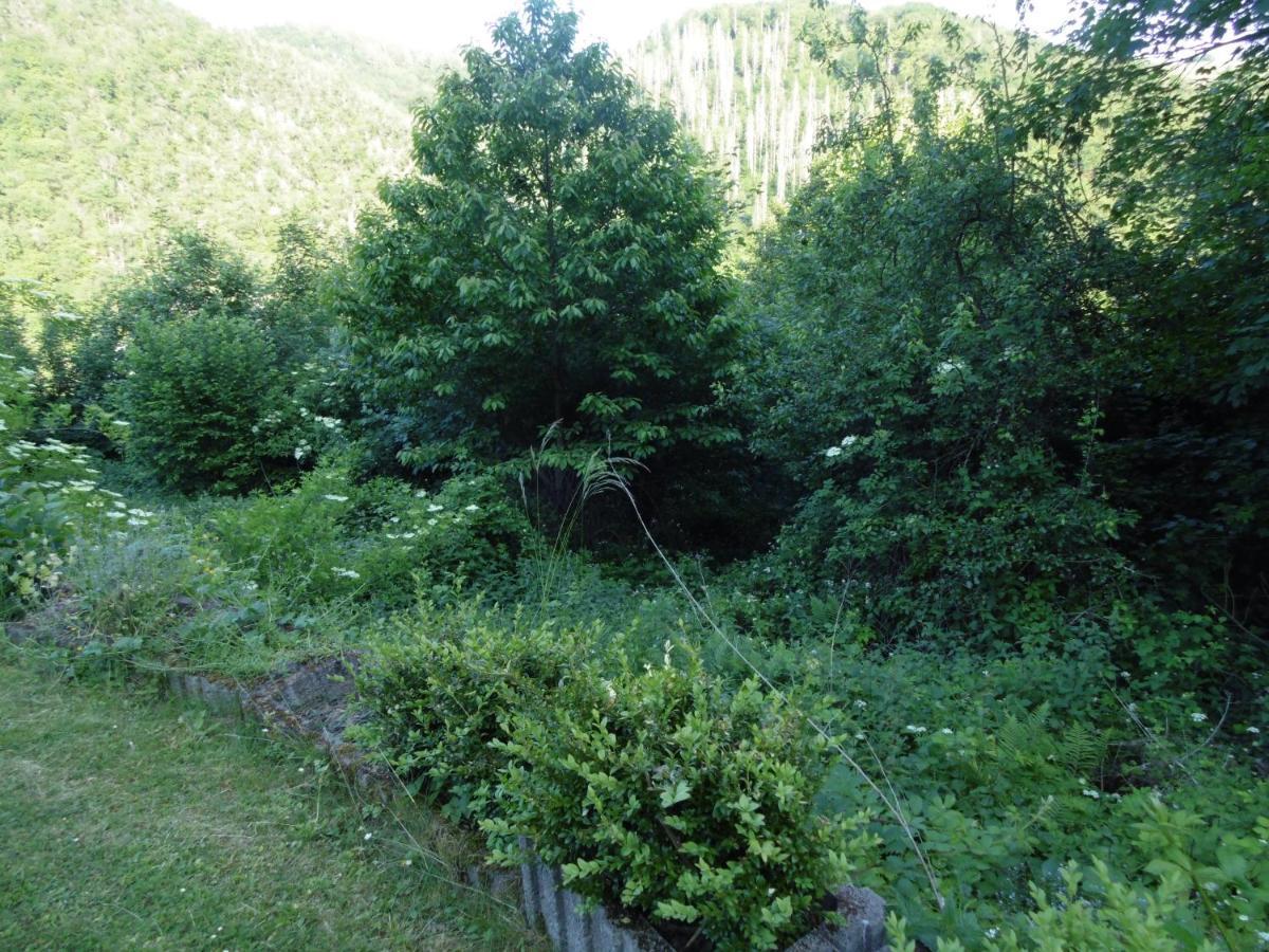 Ferienwohnung Schaefer Waldbreitbach Esterno foto