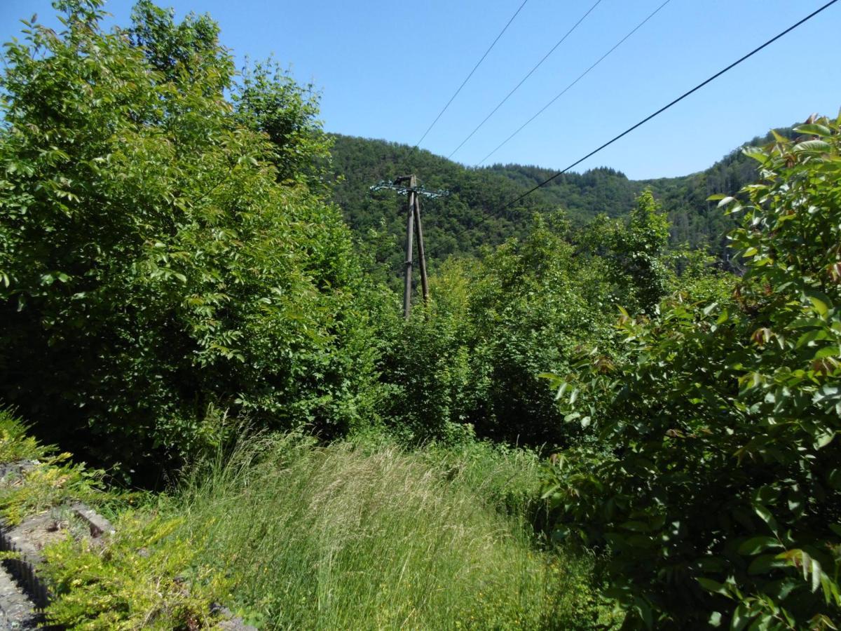 Ferienwohnung Schaefer Waldbreitbach Esterno foto
