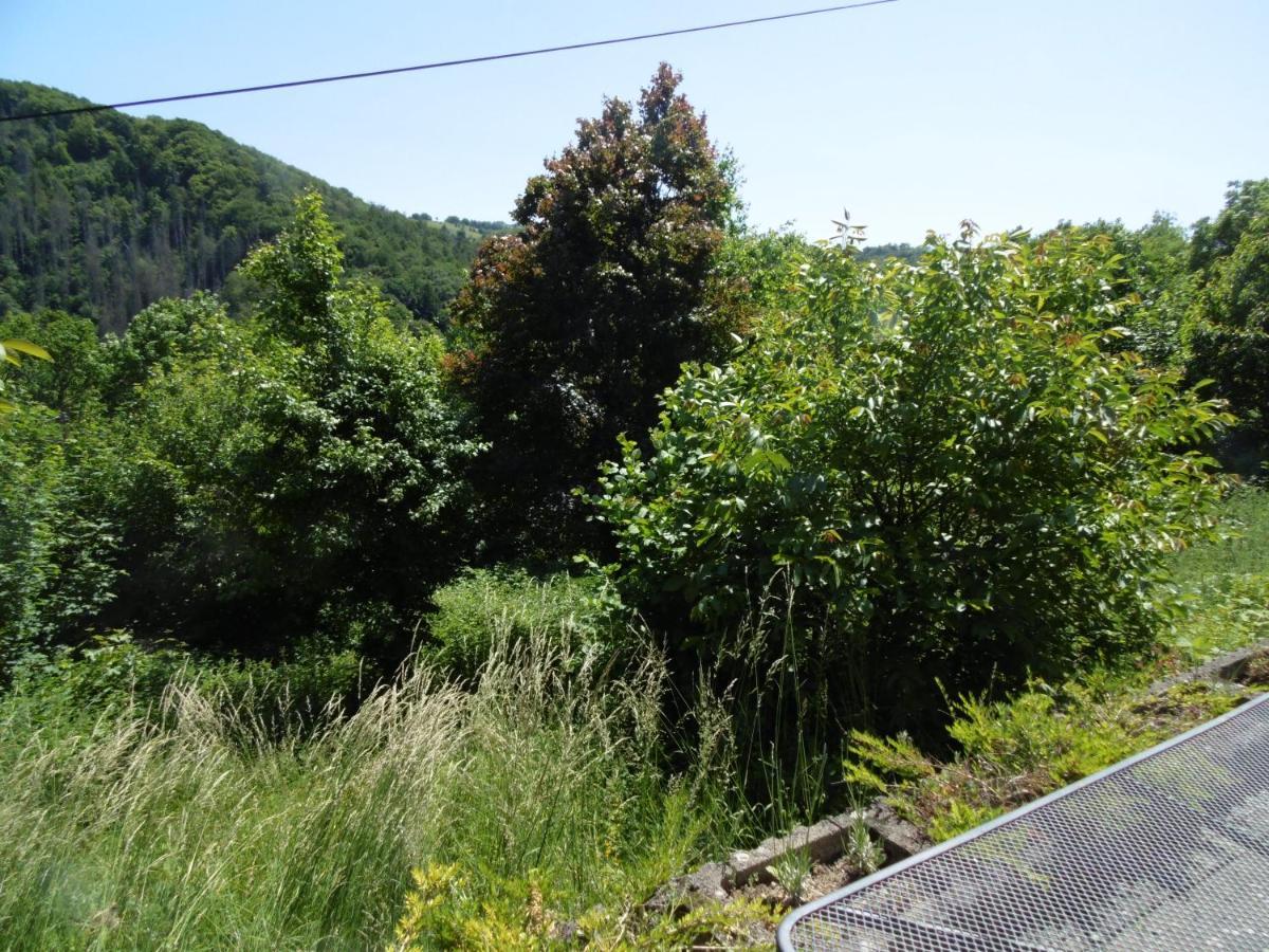 Ferienwohnung Schaefer Waldbreitbach Esterno foto