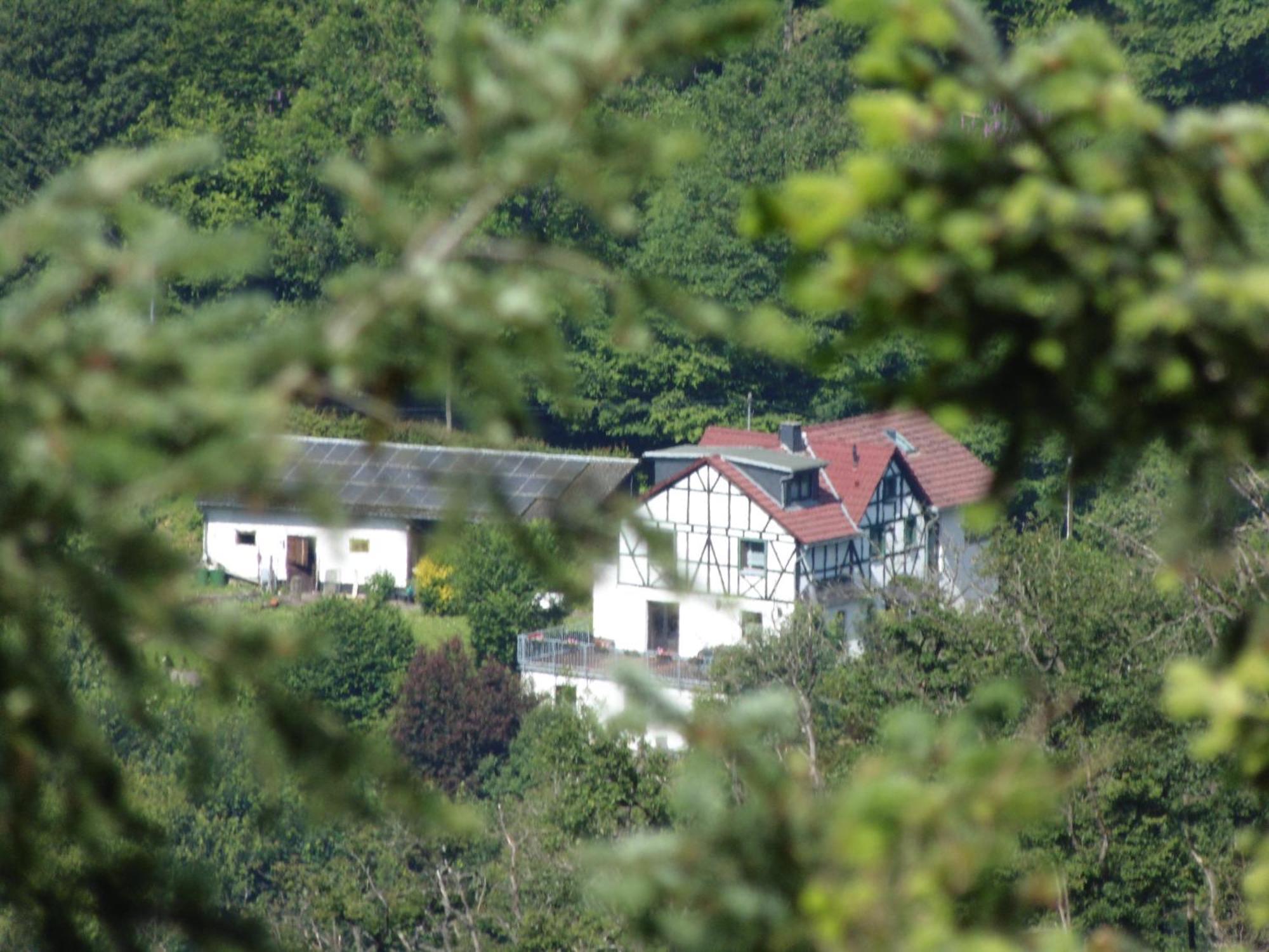 Ferienwohnung Schaefer Waldbreitbach Esterno foto
