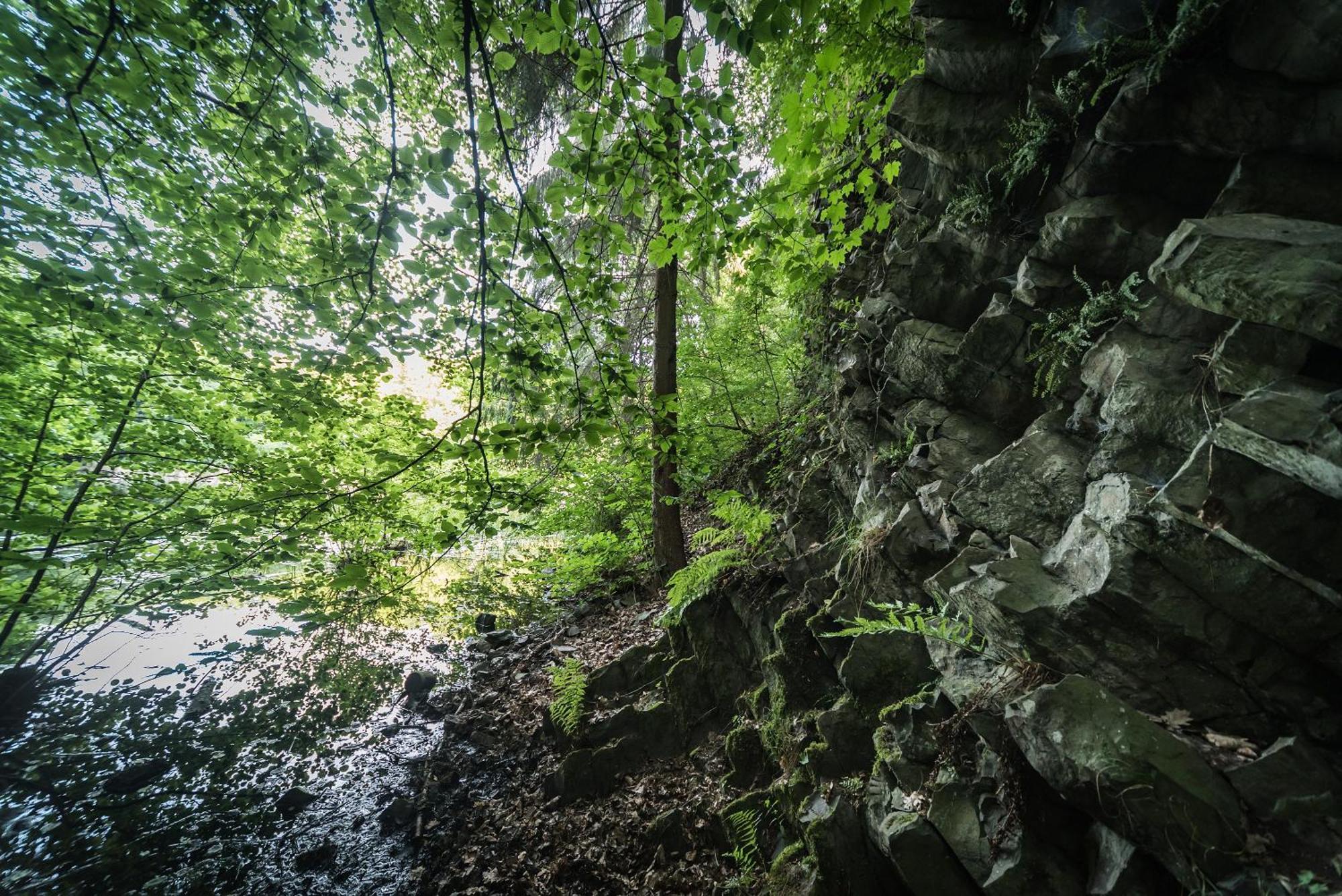 Ferienwohnung Schaefer Waldbreitbach Esterno foto